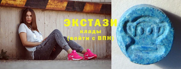 мет Алексин