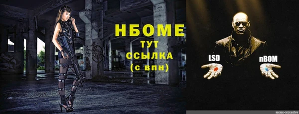 прущие грибы Алексеевка