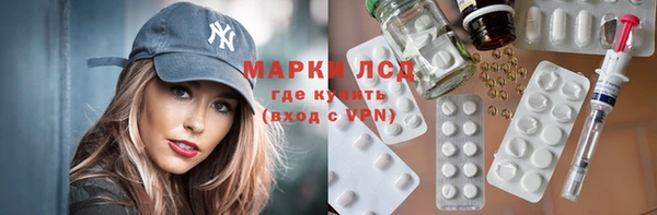прущие грибы Алексеевка