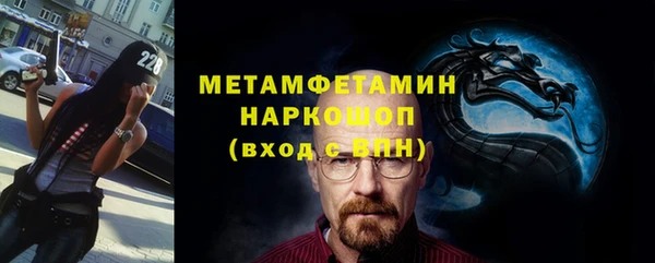 мет Алексин