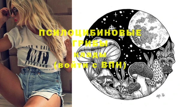 прущие грибы Алексеевка